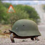 Get it? WAR-Turtle?