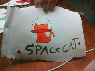 + Space Cat+