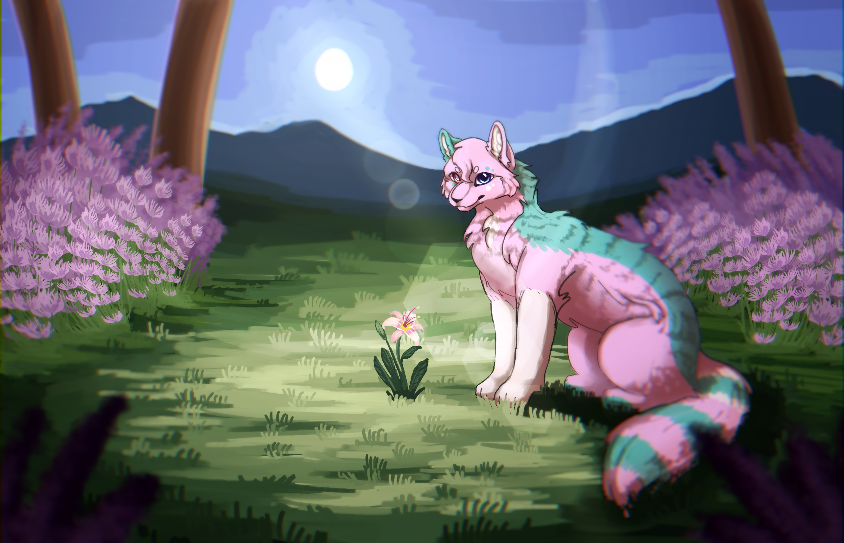 Whimsy's birthday - 2019