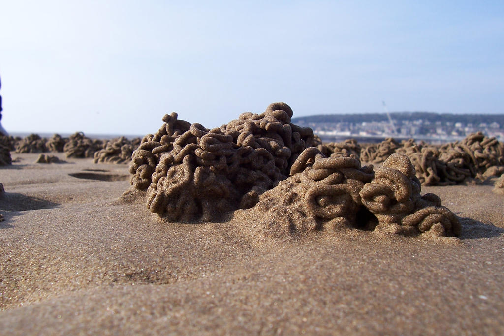 Weird Sand by Random101Girl on DeviantArt