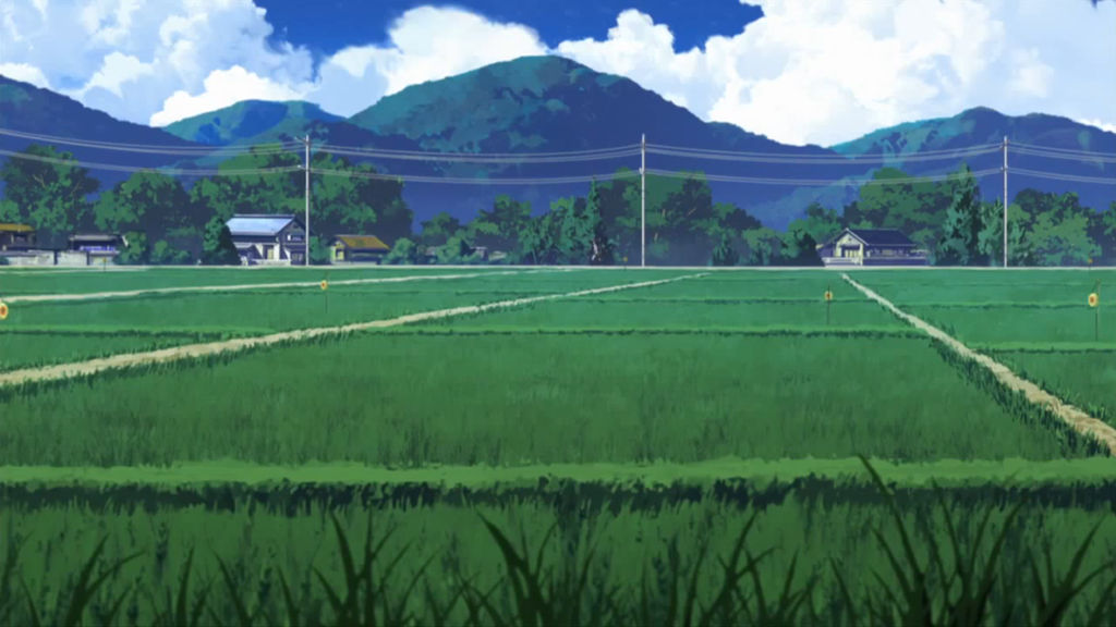 Japanese Rice fields by HomePyroDemolition on DeviantArt