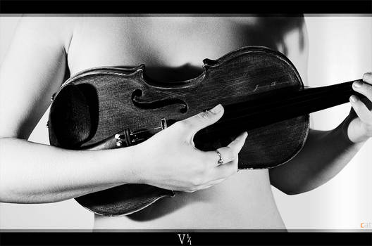 Violinist v1.1