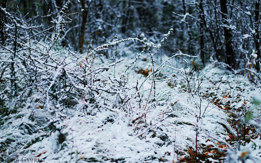 ice path by bezag on DeviantArt