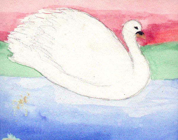 Swan