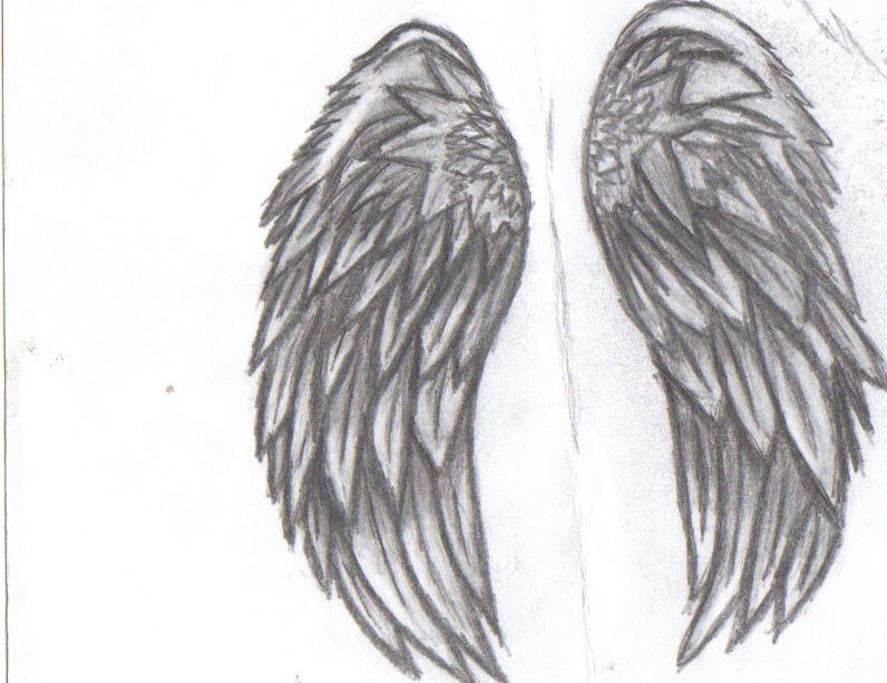 Wings