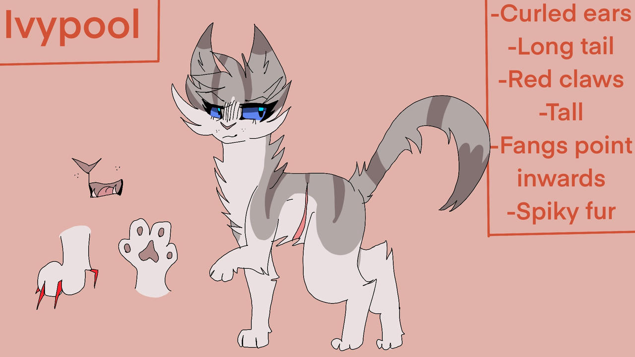 Ivypool Design Ivypool Design by MintMau2 on DeviantArt