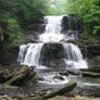 Tuscarora Falls