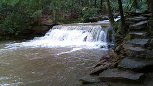 Tolliver Falls