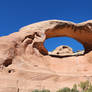 Cedar Tree Arch