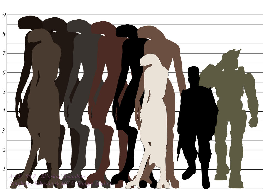 Sangheili Height Chart By Slaskia On DeviantArt sangheili-height-chart-by-slaskia-on-deviantart