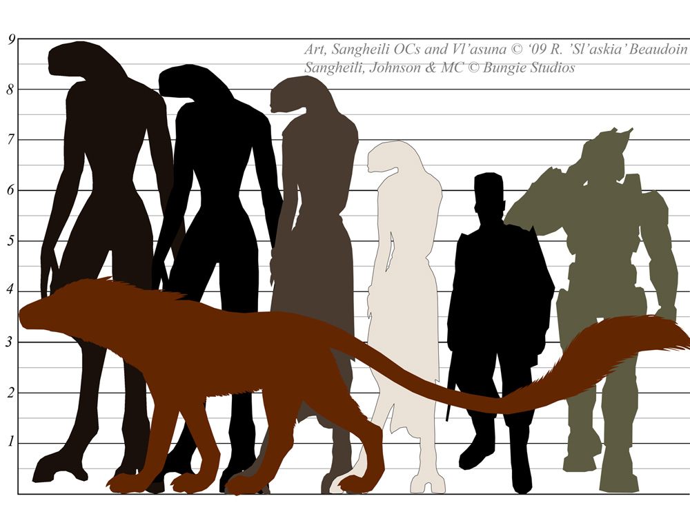 Height Chart 2