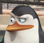 Kowalski gif