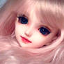 Shallot