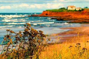 Prince Edward Island - Atlantic Ocean II