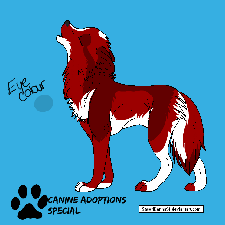 Wolf Adoptable 1 -CLOSED-