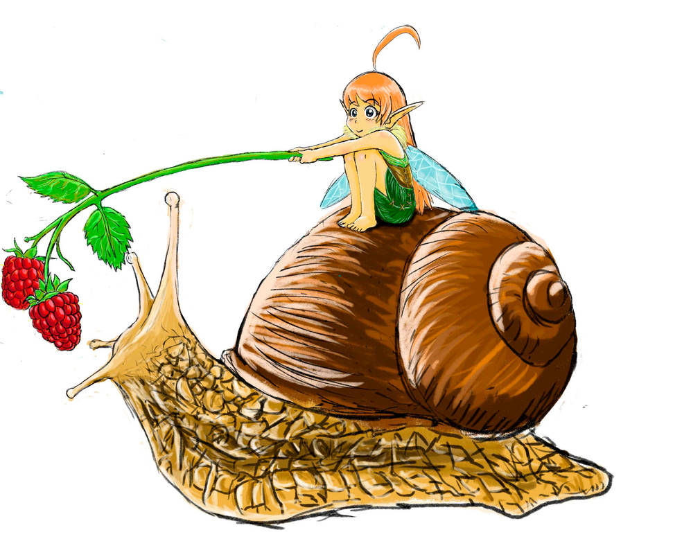 Snail Rider by Manji00 on DeviantArt