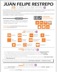 Curriculum Vitae  January