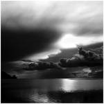 N. by imogene
