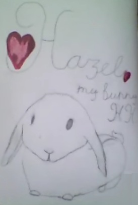 My Hazel bunny by wildkid35 on DeviantArt