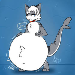 Cute Tiger shark:3