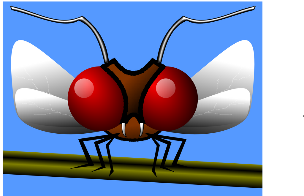 Insect Deviantart Insect by betterthanq on DeviantArt