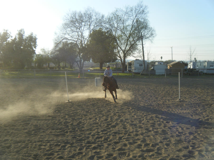 Rodeo Horse by ThunderRust on DeviantArt