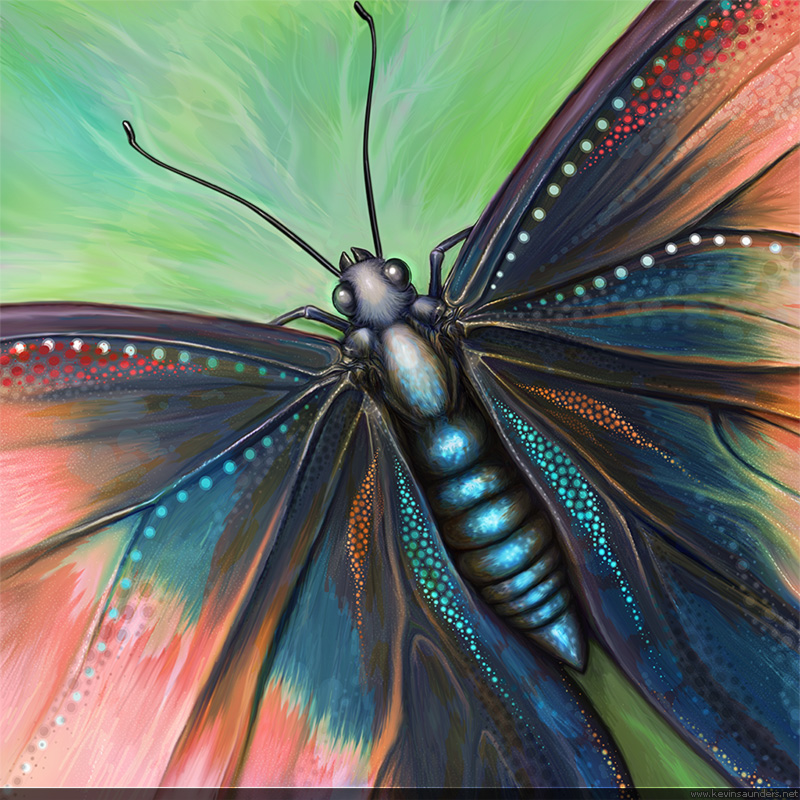 photo Butterfly Color Pencil Drawing Ideas deviantart