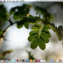 Desktop May 2008