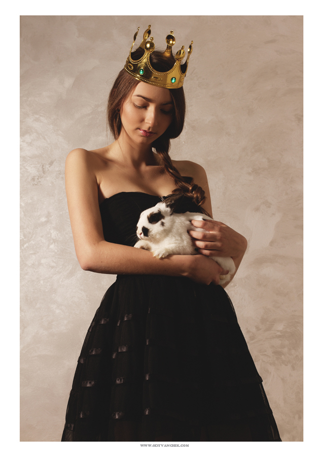 princess and rabbit 2 by odyvan4i4eg on DeviantArt