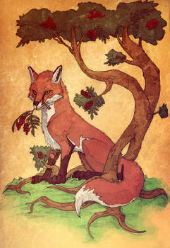Commission: Red Fox