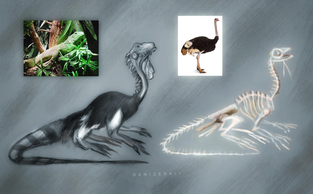 Creature Design Morph Concept Art by MidnightStarsandYou on DeviantArt