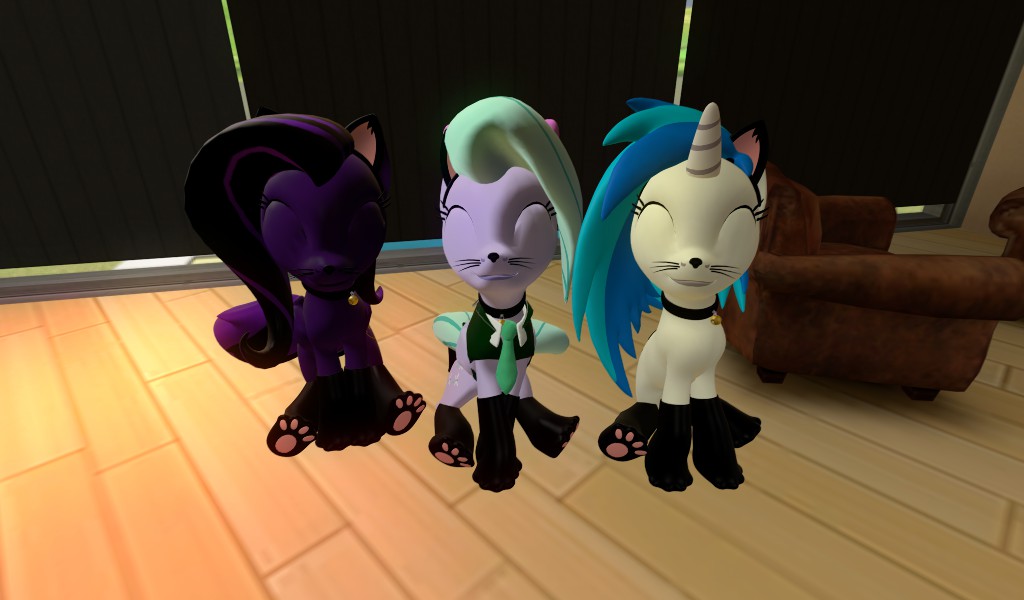 Three kitty pony