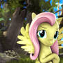 [SFM] Fluttershy