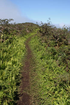 sierra verde.