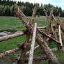 Fence, Fishlake Natl Forest, Utah