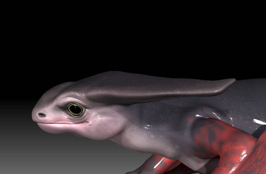 Speckled Eastern Draco Salamander aka Squibbins 01