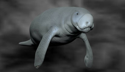 Manatee character model