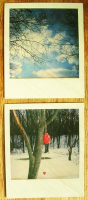 POLAROID: above and below.