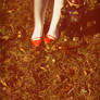 red shoes series 05