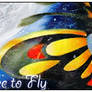 Banner - Beautifly