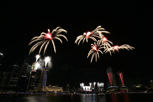 Flowers of Light over the Bay