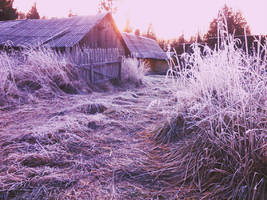 frozen fog