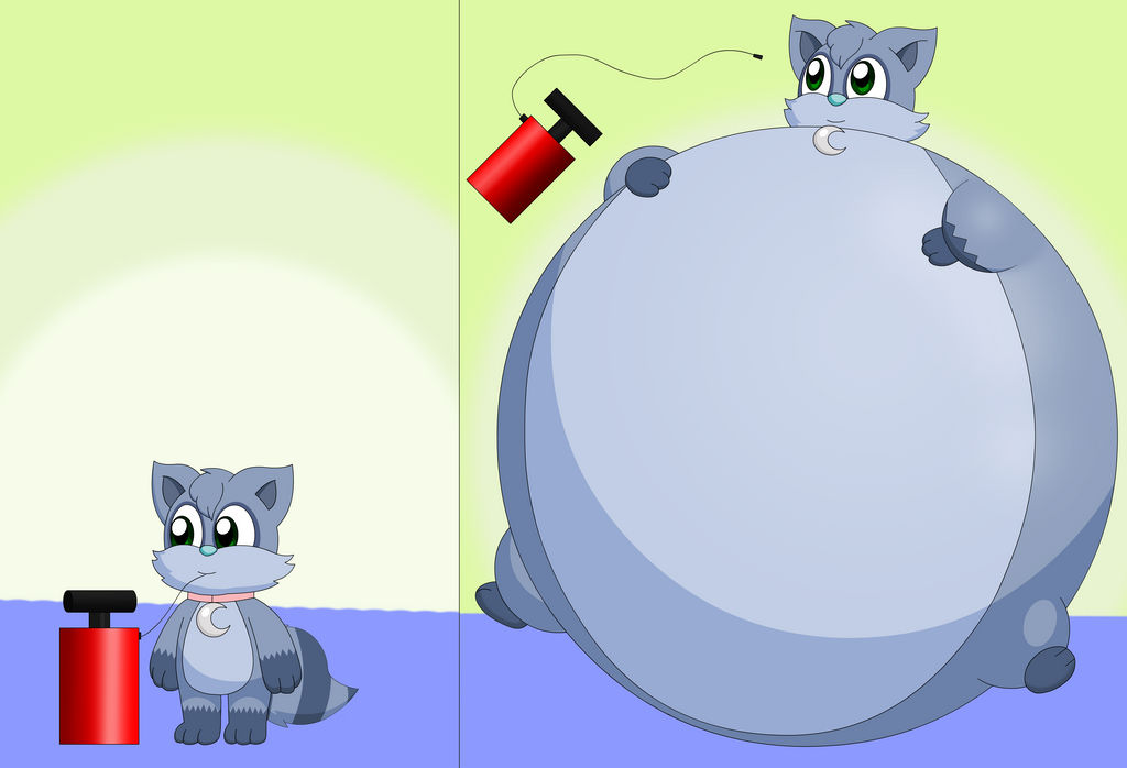 Dusk the raccoon inflated with air by Estelarbunny on DeviantArt