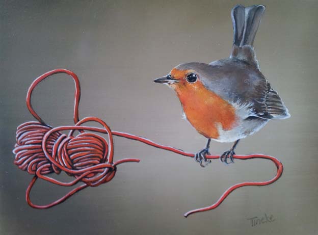 Robin on a wire