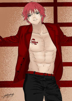 hot sasori