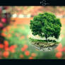 Tree Wallpaper HD