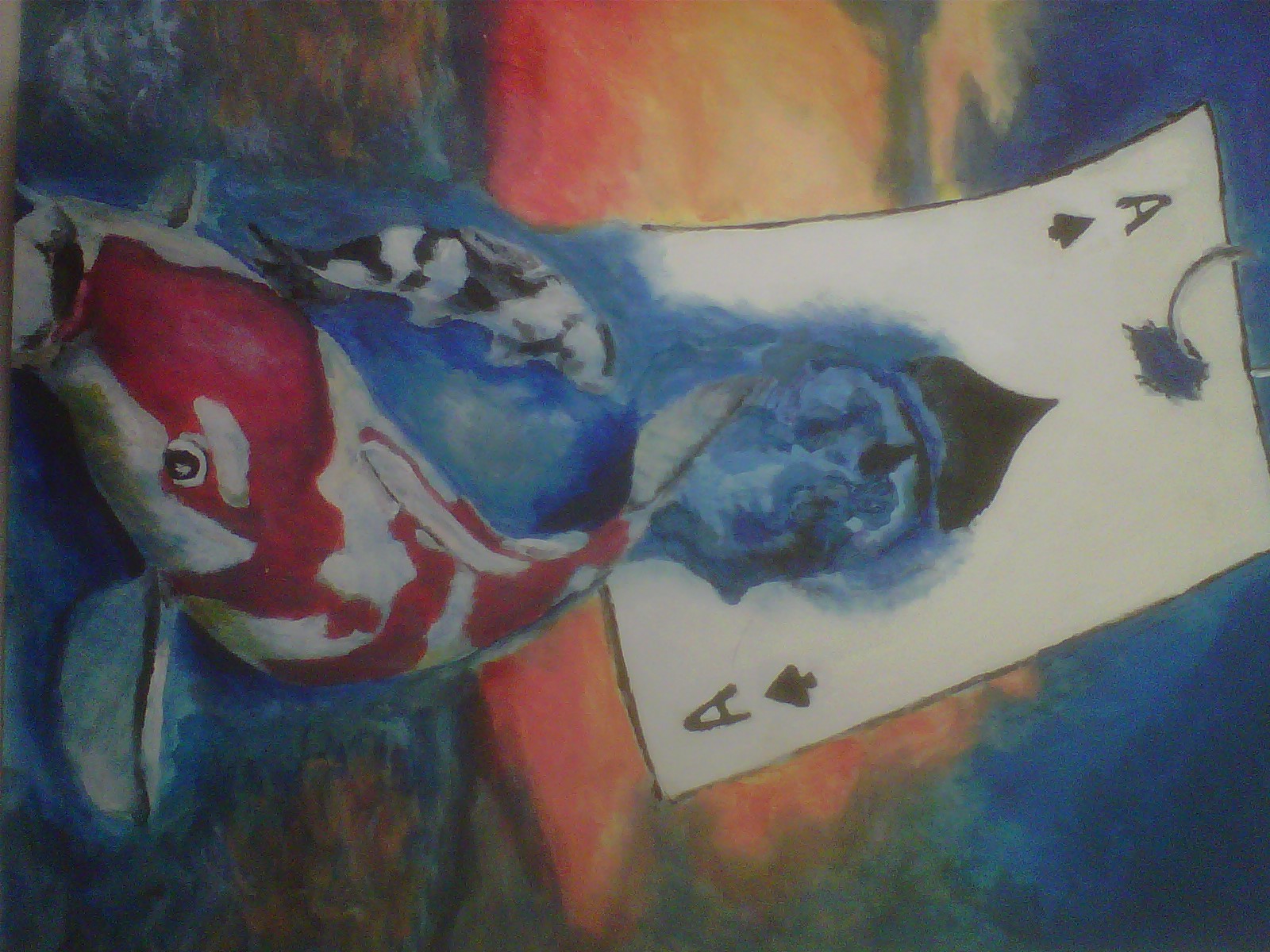 Koi out of the ace of spades