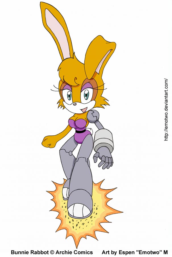 Team W - Flight: Bunnie Rabbot