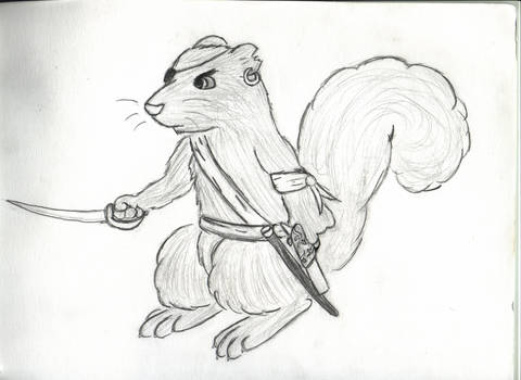 Pirate Squirrel