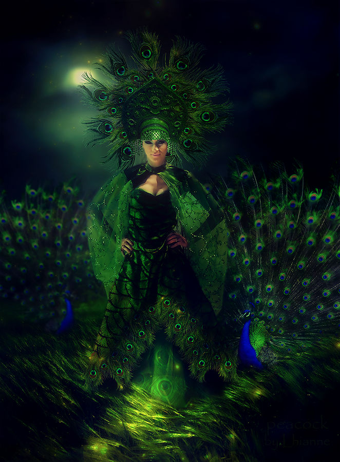 Peacock by Lhianne